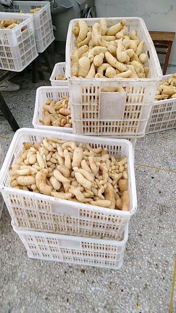 益陽瑪山產業(yè)機械有限公司，湖南益陽螺旋風管廠家，熱風食品烤房